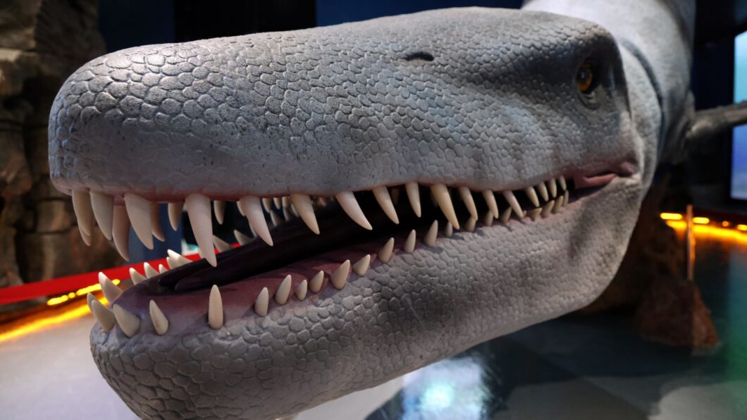 Приморский океанариум