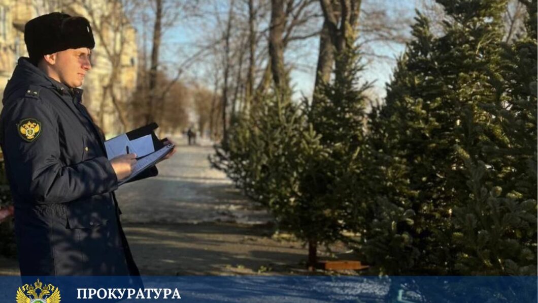 елочные рейды