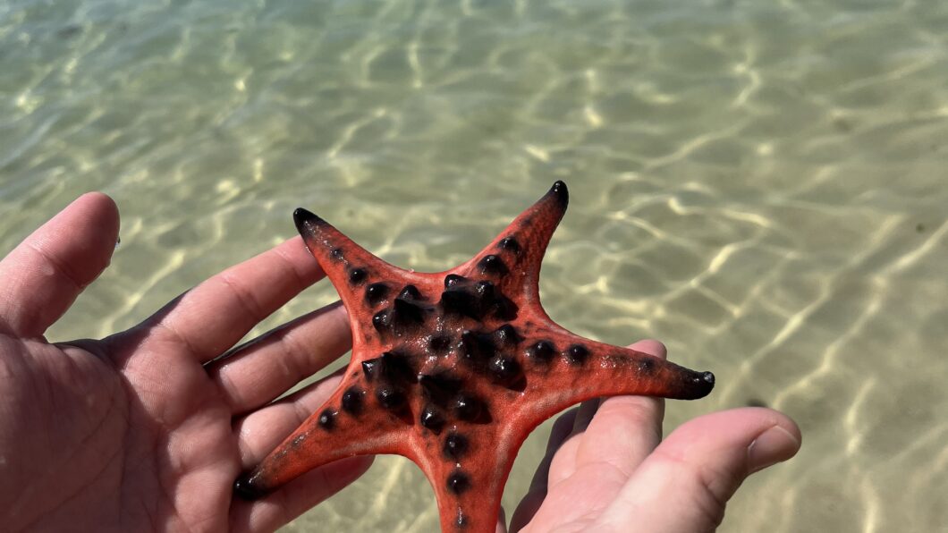 Вьетнам стал лидером по спросу у российских туристов в новогодние праздники