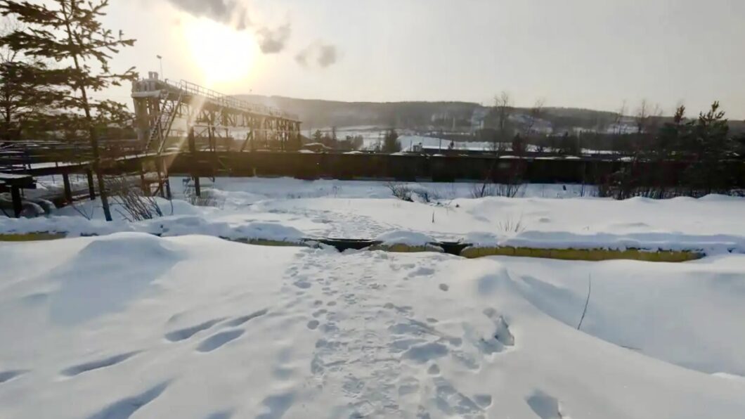 нападение собак в Якутии